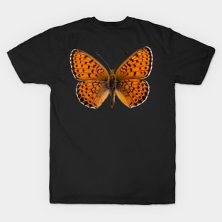 Special Black and Orange Butterfly | Entomology Lover T-Shirt